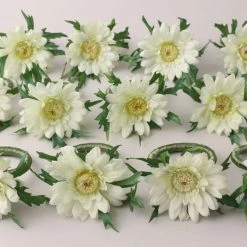 Dunelm Set Of 12 Gerbera Napkin Rings 7cm 7 Dunelm Set Of 12 Gerbera Napkin Rings 7cm -Dunelm Sales Store 1000182744 alt02