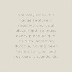 The Edited Life Urban Dinner Charcoal Plate 7 The Edited Life Urban Dinner Charcoal Plate -Dunelm Sales Store 1000184412 alt09