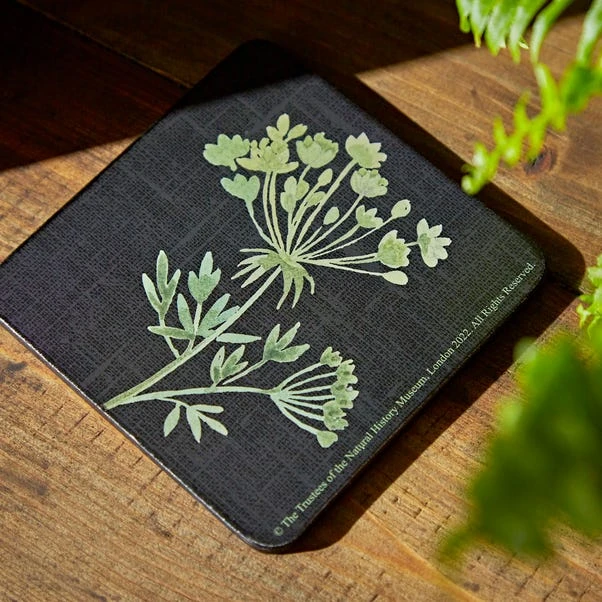 Natural History Museum Marsh Botanical Set Of 4 Coasters And Placemats 4 Natural History Museum Marsh Botanical Set Of 4 Coasters And Placemats - Image 2