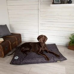 Scruffs Expedition Memory Foam Orthopaedic Pet Mattress