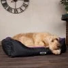 Scruffs Pet Expedition Box Bed -Dunelm Sales Store 30784236