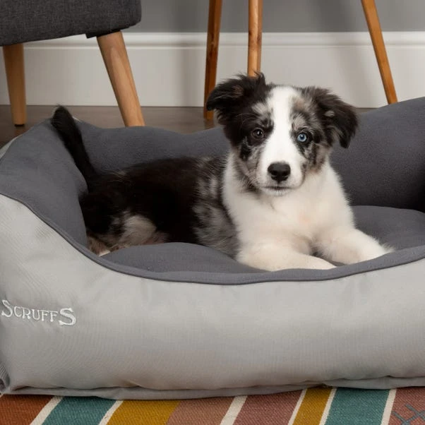 Scruffs Pet Eco Box Bed 4 Scruffs Pet Eco Box Bed - Image 2