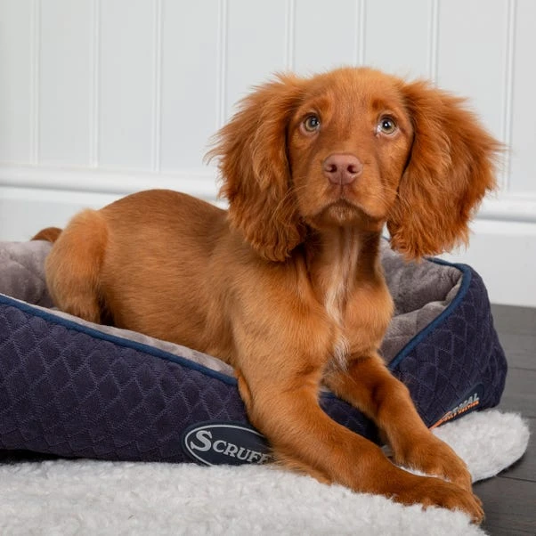 Scruffs Thermal Cat Lounger 4 Scruffs Thermal Cat Lounger - Image 2