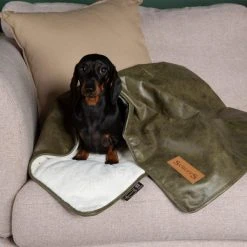 Scruffs Knightsbridge Dog Blanket