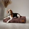 Scruffs Kensington Mattress Pet Bed -Dunelm Sales Store 30784286
