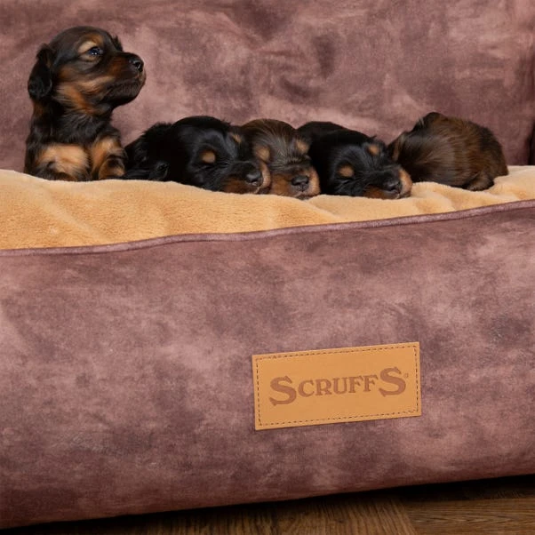 Scruffs Pet Kensington Box Bed 4 Scruffs Pet Kensington Box Bed - Image 2