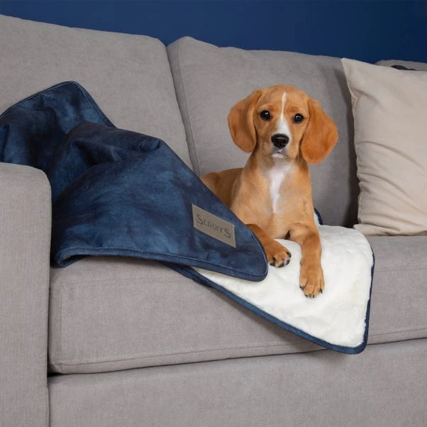 Scruffs Kensington Dog Blanket 4 Scruffs Kensington Dog Blanket - Image 2
