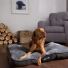 Scruffs Chester Mattress Pet Bed 2 Scruffs Chester Mattress Pet Bed -Dunelm Sales Store 30784333