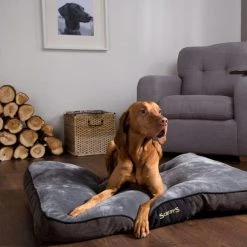 Scruffs Chester Mattress Pet Bed