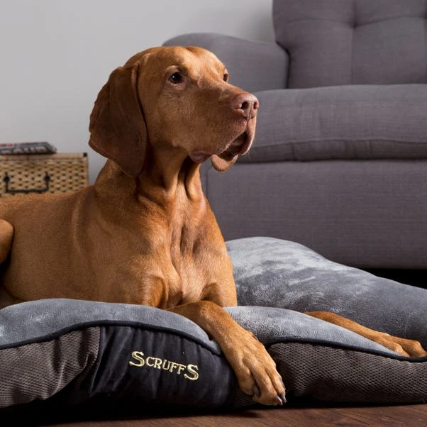 Scruffs Chester Mattress Pet Bed 4 Scruffs Chester Mattress Pet Bed - Image 2