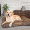 Scruffs Windsor Mattress Pet Bed -Dunelm Sales Store 30784353