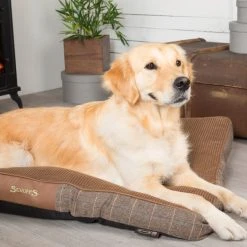 Scruffs Windsor Mattress Pet Bed 6 Scruffs Windsor Mattress Pet Bed -Dunelm Sales Store 30784353 alt01