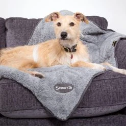 Scruffs Cosy Dog Blanket