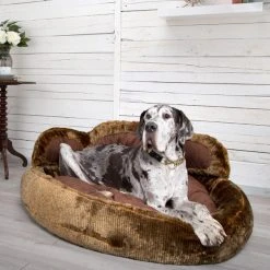 Scruffs Grizzly Bear Dog Bed -Dunelm Sales Store 30784398 alt02
