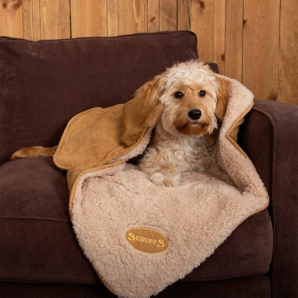 Scruffs Snuggle Dog Blanket 3 Scruffs Snuggle Dog Blanket