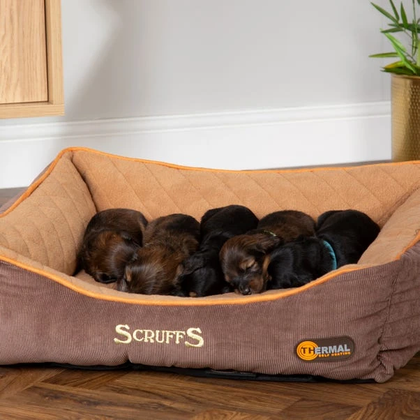 Scruffs Pet Thermal Box Bed 4 Scruffs Pet Thermal Box Bed - Image 2