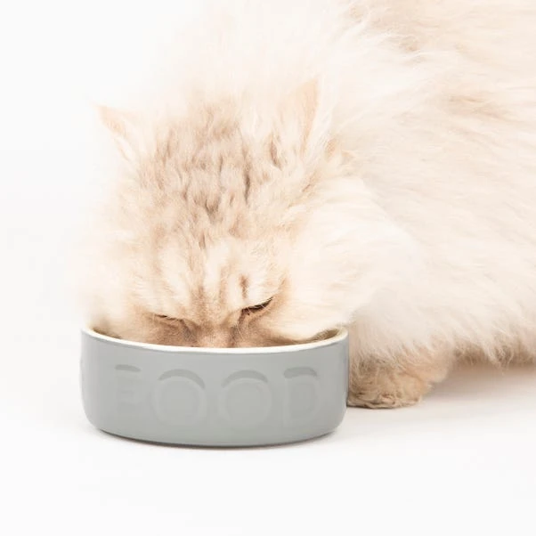 Scruffs Set Of 2 Small Grey Food And Drink Pet Bowls 4 Scruffs Set Of 2 Small Grey Food And Drink Pet Bowls - Image 2