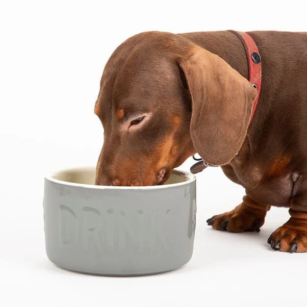 Scruffs Set Of 2 Small Grey Food And Drink Pet Bowls 5 Scruffs Set Of 2 Small Grey Food And Drink Pet Bowls - Image 3