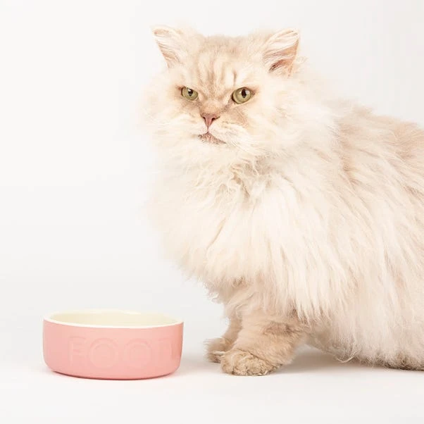 Scruffs Set Of 2 Cat Bowls 4 Scruffs Set Of 2 Cat Bowls - Image 2