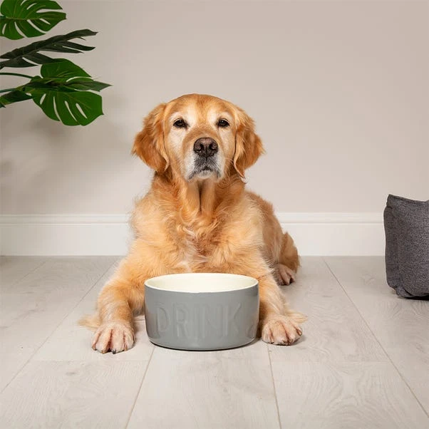 Scruffs Set Of 2 Large Grey Food And Drink Dog Bowls 5 Scruffs Set Of 2 Large Grey Food And Drink Dog Bowls - Image 3