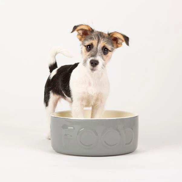 Scruffs Set Of 2 Extra Large Grey Food And Drink Dog Bowls 4 Scruffs Set Of 2 Extra Large Grey Food And Drink Dog Bowls - Image 2