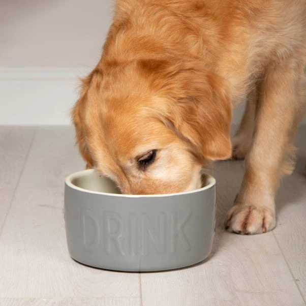 Scruffs Set Of 2 Extra Large Grey Food And Drink Dog Bowls 5 Scruffs Set Of 2 Extra Large Grey Food And Drink Dog Bowls - Image 3