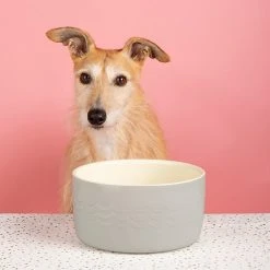 Scruffs Set Of 2 Extra Large Icon Dog Bowls -Dunelm Sales Store 30789584 alt02