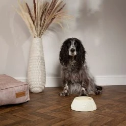 Scruffs Set Of 2 Long Eared Dog Bowls 8 Scruffs Set Of 2 Long Eared Dog Bowls -Dunelm Sales Store 30789589 alt02