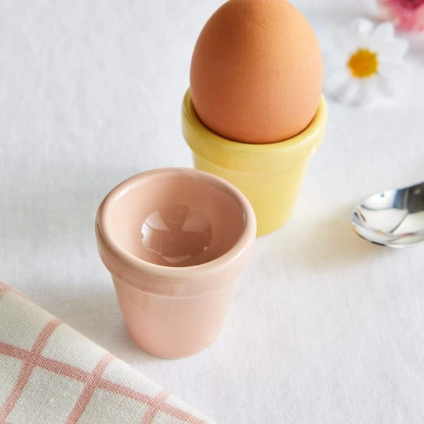 Dunelm Set Of 2 Plant Pot Egg Cups 4 Dunelm Set Of 2 Plant Pot Egg Cups - Image 2