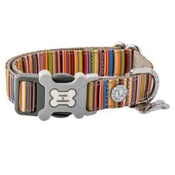 Hugo & Hudson Striped Bone Buckle Dog Collar