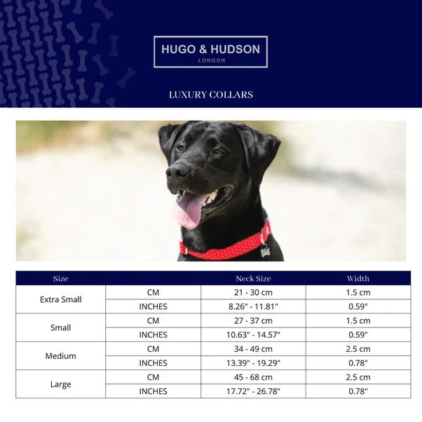 Hugo & Hudson Striped Bone Buckle Dog Collar 5 Hugo & Hudson Striped Bone Buckle Dog Collar - Image 3