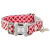 Hugo & Hudson Watermelon Bone Buckle Dog Collar 2 Hugo & Hudson Watermelon Bone Buckle Dog Collar -Dunelm Sales Store 30802538