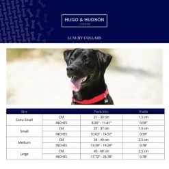 Hugo & Hudson Star Bone Buckle Dog Collar -Dunelm Sales Store 30802546 alt02