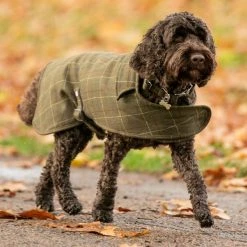 Hugo & Hudson Checked Herringbone Metal Buckle Dog Collar -Dunelm Sales Store 30802558 alt05