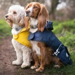 Hugo & Hudson Herringbone Tweed Metal Buckle Dog Collar -Dunelm Sales Store 30802570 alt05