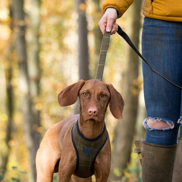 Hugo & Hudson Checked Herringbone Dog Lead 4 Hugo & Hudson Checked Herringbone Dog Lead - Image 2