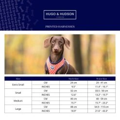 Hugo & Hudson Star Dog Harness -Dunelm Sales Store 30802606 alt02