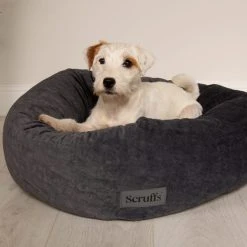 Scruffs Scruff Oslo Donut Dog Bed